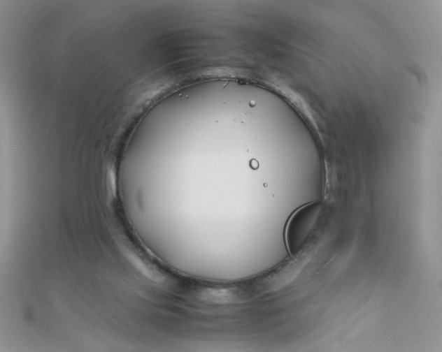 X0000112370061200909031939