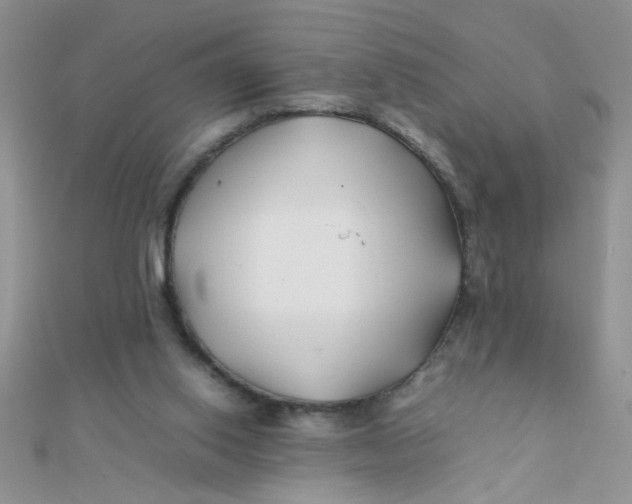 X0000112370062200909031939