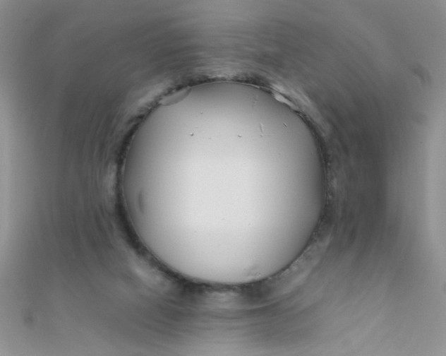 X0000112370066200909031940
