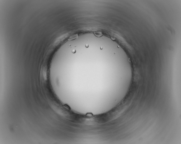 X0000112370068200909031940