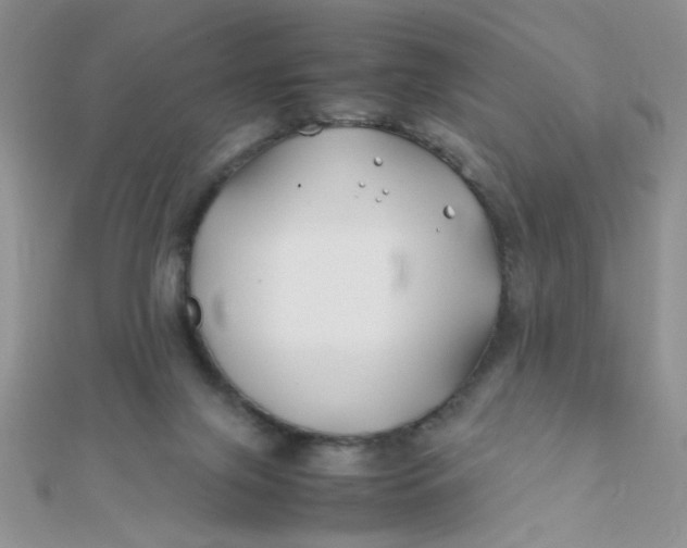 X0000112370071200909031940