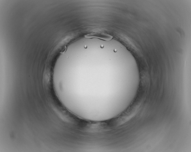 X0000112370072200909031940