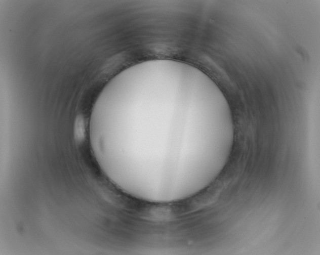 X0000112370075200909031940