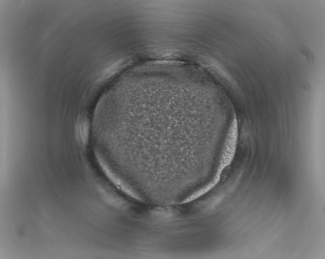 X0000112370076200909031940