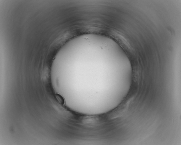 X0000112370077200909031940