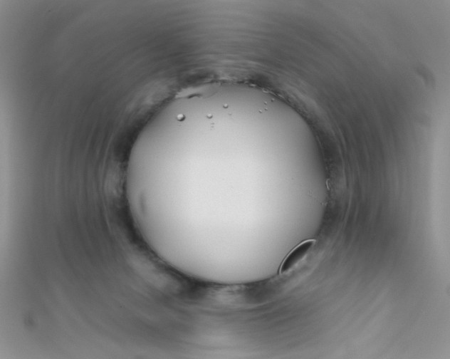 X0000112370078200909031940
