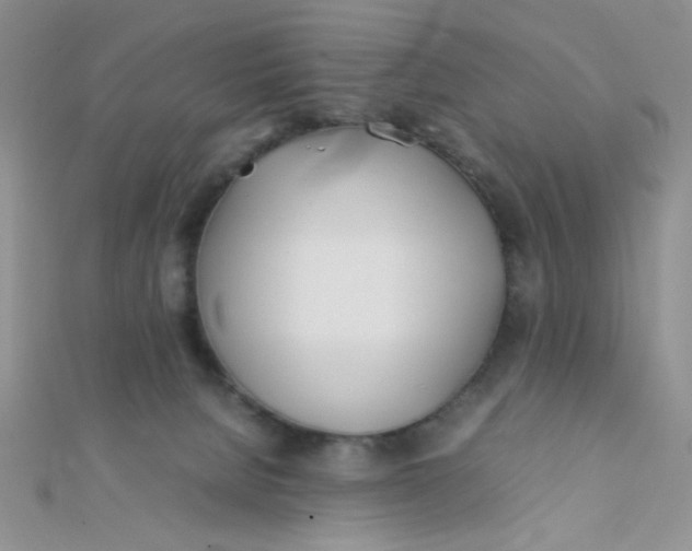 X0000112370080200909031940