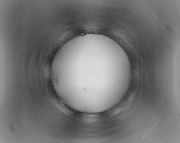 X0000112370081200909031940