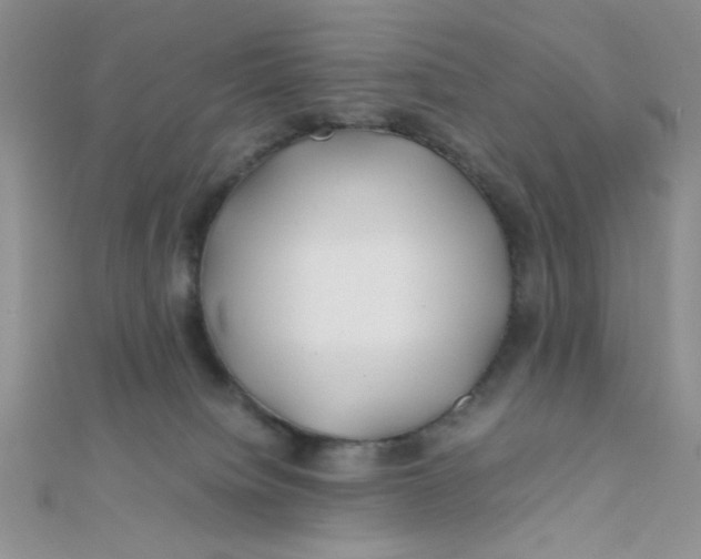 X0000112370084200909031940
