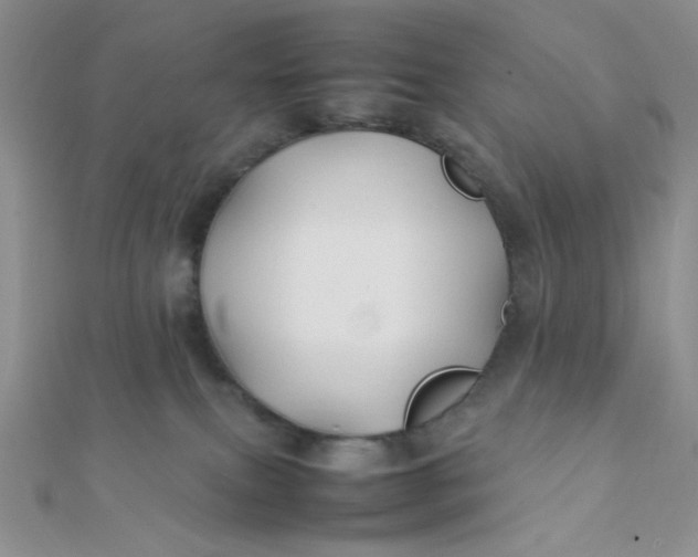 X0000112370087200909031940