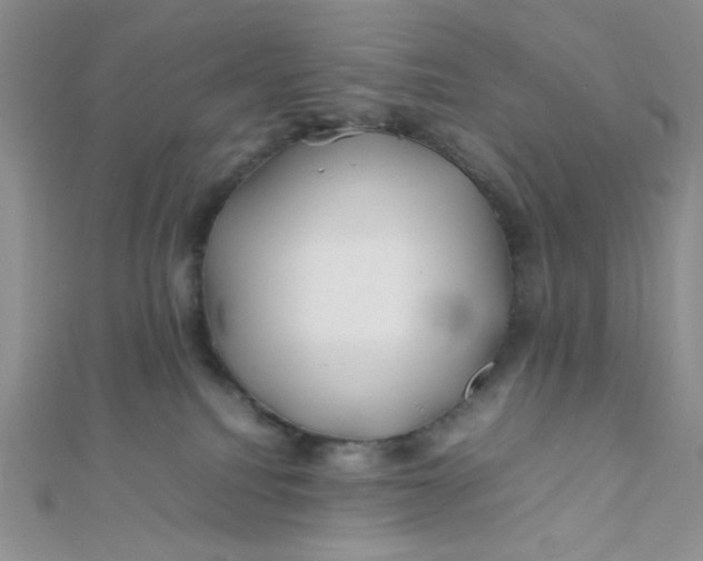 X0000112370088200909031940