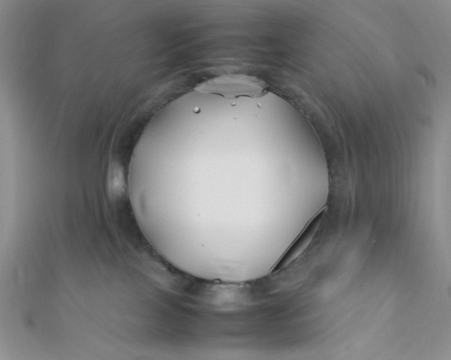 X0000112370089200909031940