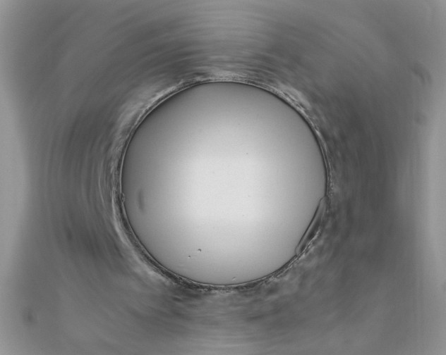 X0000112370097200909031939