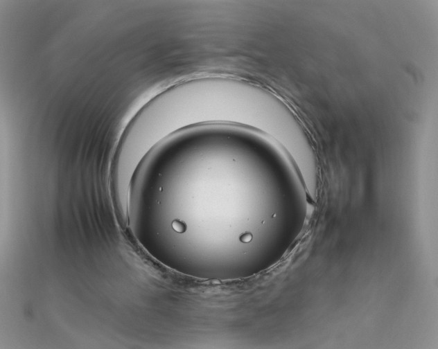 X0000112370100200909031939