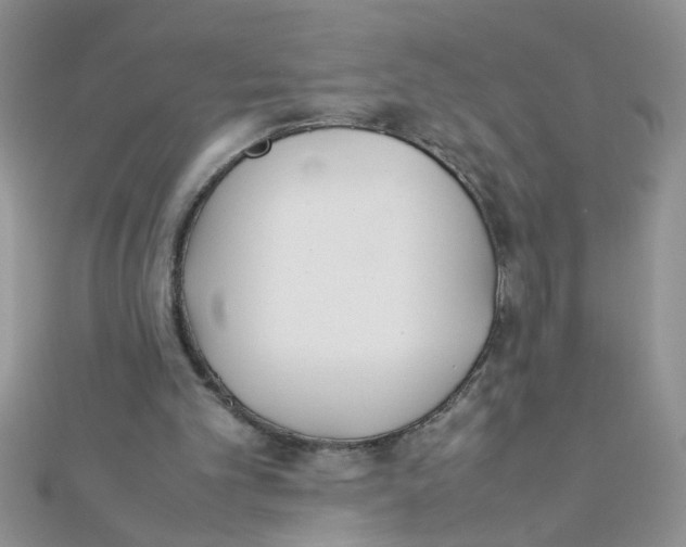 X0000112370101200909031939