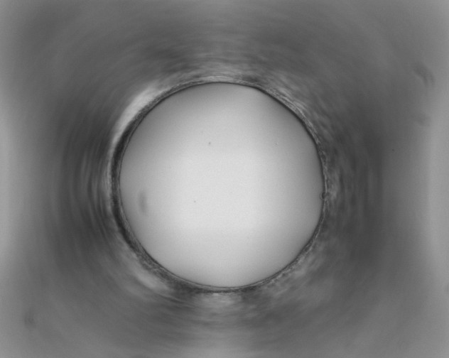 X0000112370102200909031939