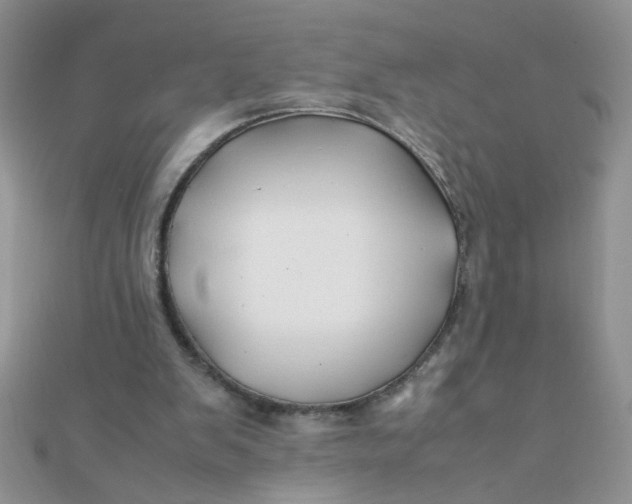 X0000112370103200909031939