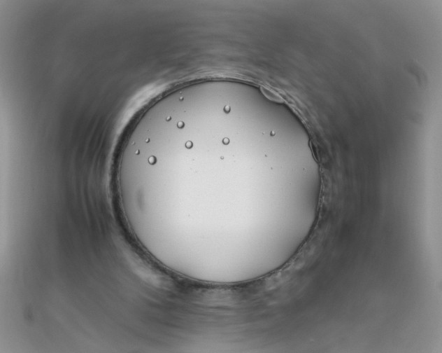 X0000112370104200909031939