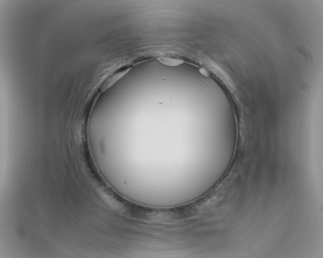 X0000112370105200909031939