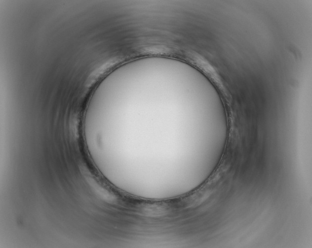 X0000112370106200909031939