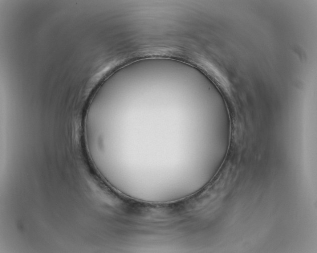 X0000112370107200909031939