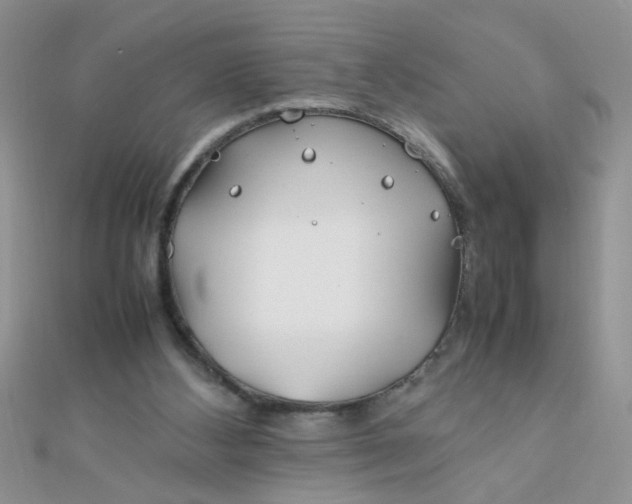 X0000112370108200909031939