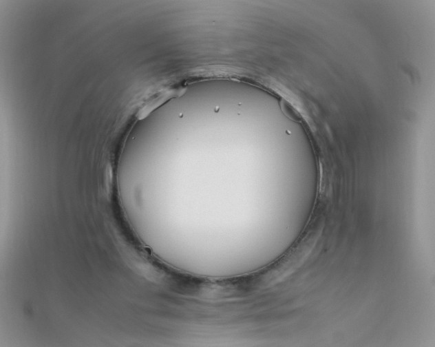 X0000112370109200909031939