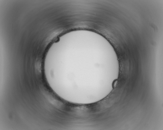 X0000112370112200909031939