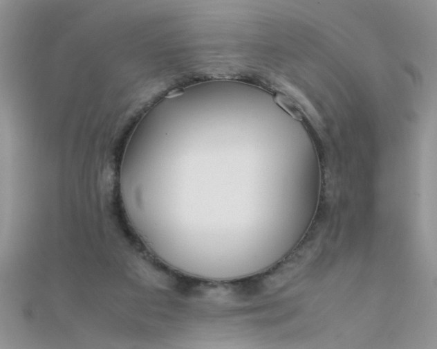 X0000112370113200909031939