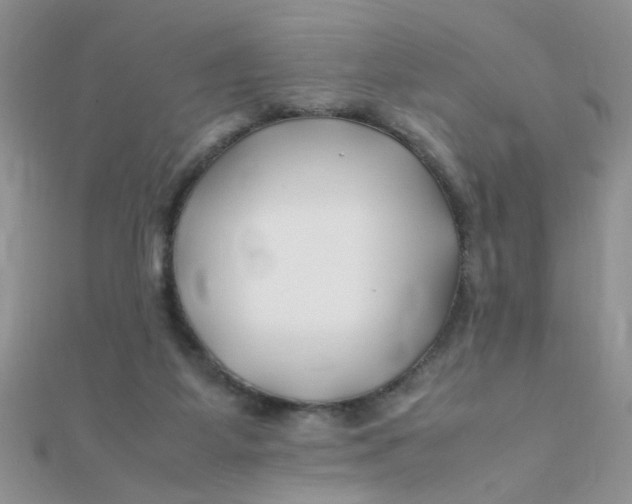 X0000112370115200909031939