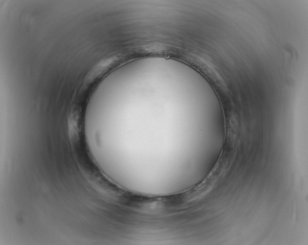 X0000112370116200909031939