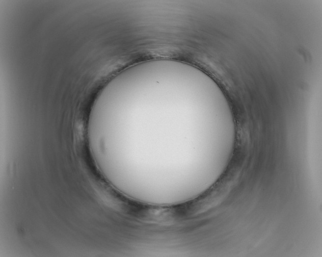 X0000112370117200909031939
