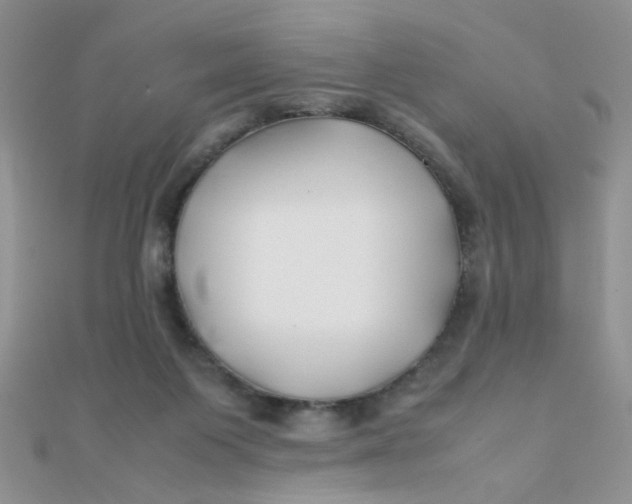 X0000112370119200909031939