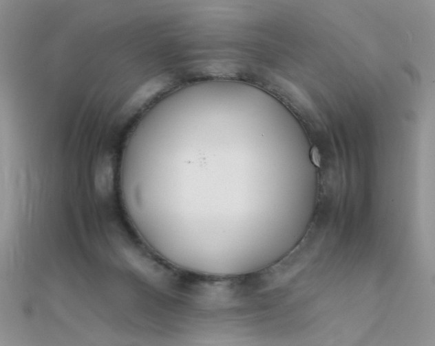 X0000112370120200909031939