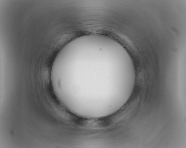 X0000112370121200909031939