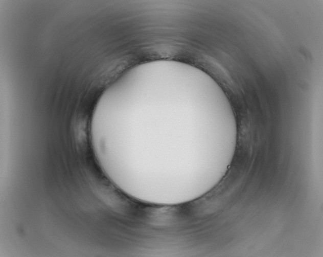 X0000112370122200909031939