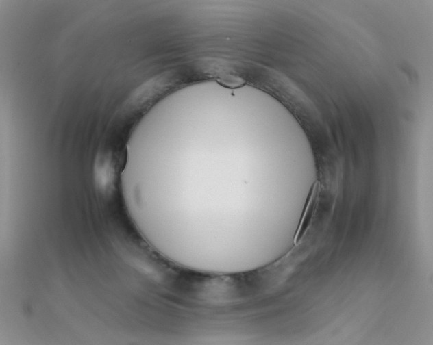 X0000112370124200909031939