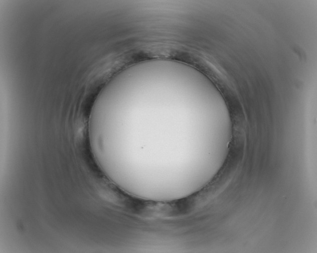 X0000112370125200909031939