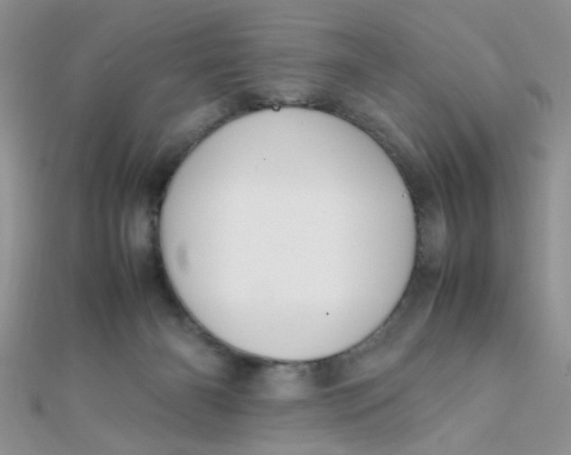 X0000112370126200909031939
