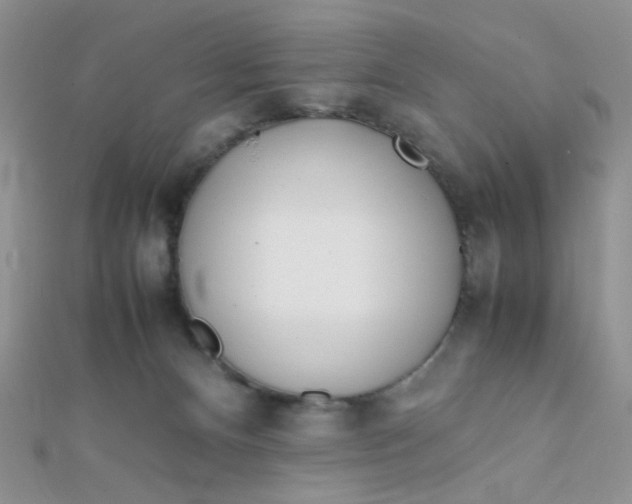X0000112370128200909031939
