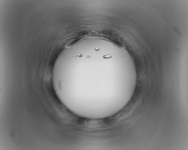 X0000112370129200909031939