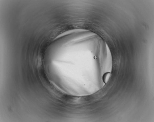 X0000112370130200909031939