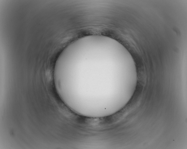 X0000112370131200909031939
