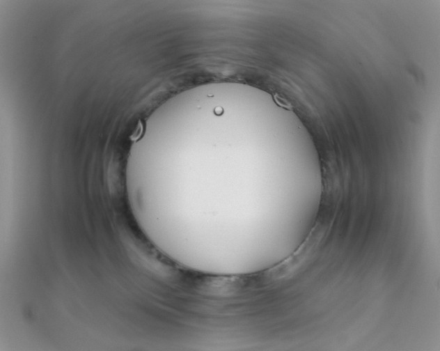 X0000112370136200909031939