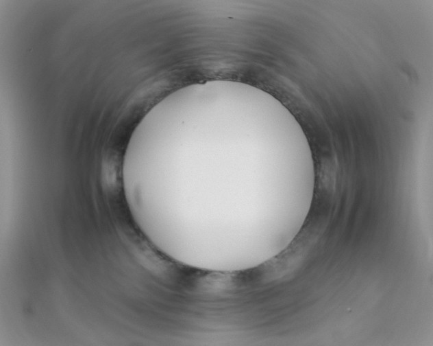 X0000112370138200909031939
