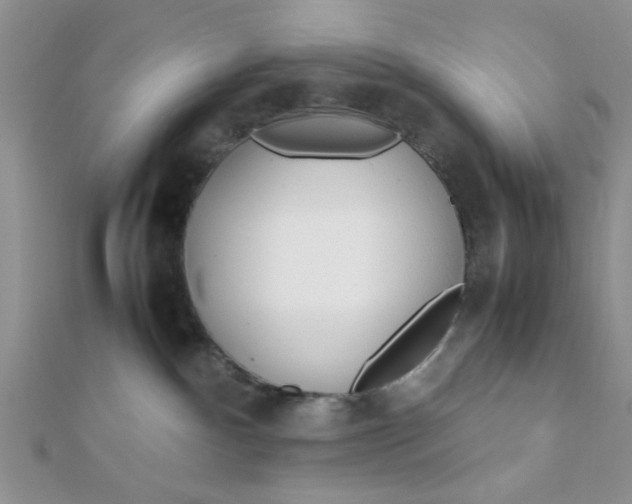 X0000112370140200909031939
