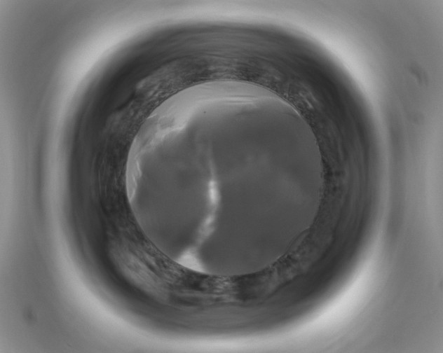 X0000112370143200909031939