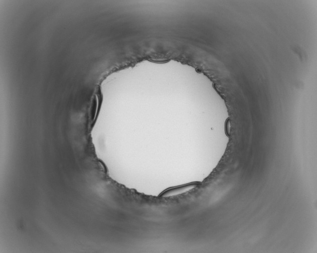 X0000112370144200909031939