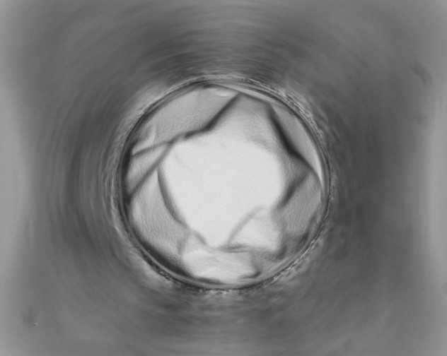 X0000112370145200909031938