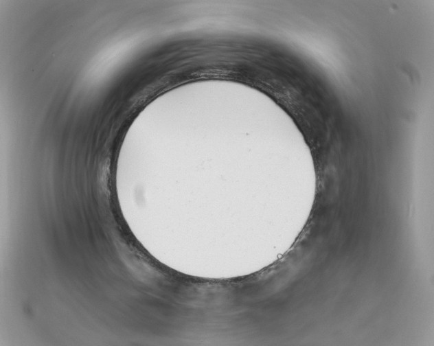 X0000112370146200909031938